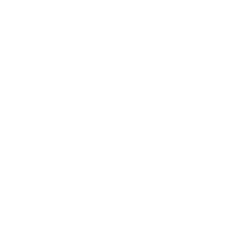 Cedrik Bruehl Linkedin Icon